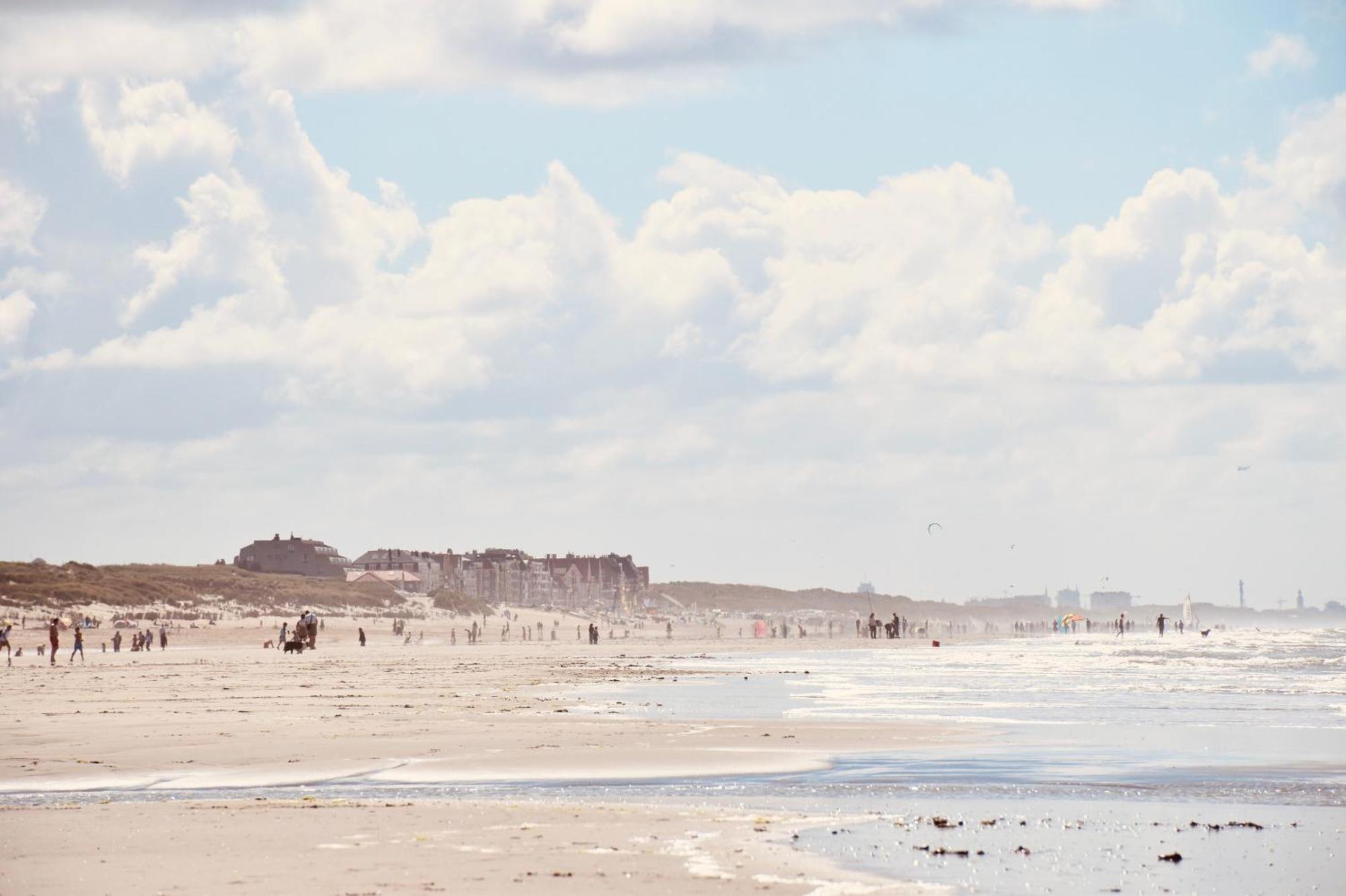 Seanest - North Sea *